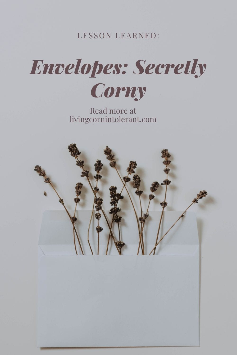 Envelope Glue Ingredients A Food Mood